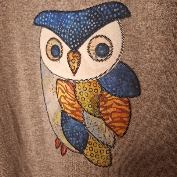 Cactus + Pearl Calico Patchwork Owl Pullover Top Ladies Small NWT Whimsical Fun - Picture 2 of 5